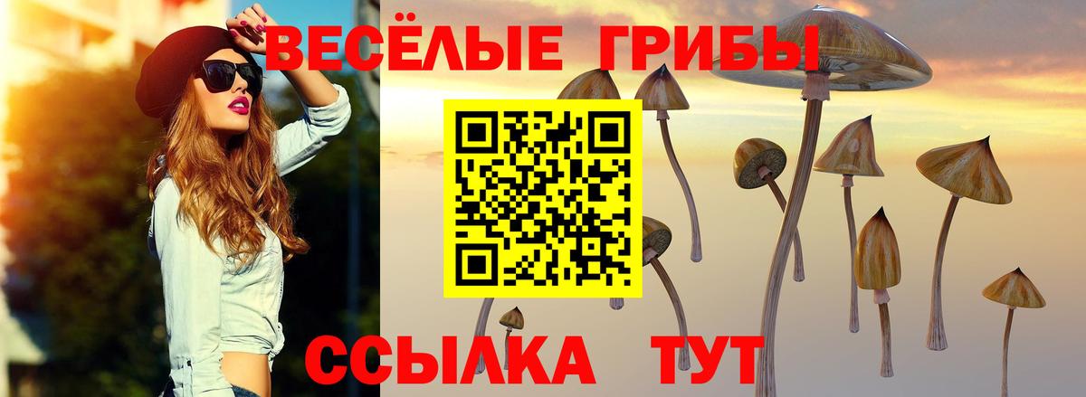 где найти   Вход с VPN  Галлюциногенные грибы Magic Shrooms  Зеленокумск  Псилоцибиновые грибы Cubensis 